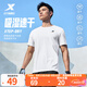 特步運動(dòng)t恤短袖男夏裝新款跑步速干衣薄款訓練服半袖簡(jiǎn)約上衣polo衫 【綜合訓練】珍珠白0146 L 175