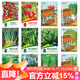花沃里12款蔬菜種子 黃瓜西紅柿草莓香菜薄荷生菜辣椒白菜菠菜香蔥種籽