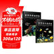 世界海水魚(yú)+熱帶魚(yú)圖鑒（共2冊) 魚(yú)類(lèi)飼養與鑒賞圖典 觀(guān)賞魚(yú)養殖入門(mén)書(shū)籍養魚(yú)大全技術(shù) 熱帶魚(yú)海底生物彩色圖鑒神秘動(dòng)物魚(yú)類(lèi)科普讀物賞魚(yú)選魚(yú)養魚(yú) 高清全彩圖譜水族箱魚(yú)缸造景繁殖科普入門(mén)