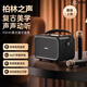 YTFY柏林之聲手提式戶外露營(yíng)復(fù)古小型K歌音響長(zhǎng)續(xù)航音箱麥克風(fēng)一體機(jī) RW40【大功率 混響模式 雙麥克風(fēng)】