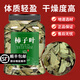 潤弘永堂（RunHongYongTang）柿子葉中藥材新貨市子葉子霜柿葉柿樹(shù)葉霜后柿葉茶 【大罐-共2罐裝】精選柿子葉500g