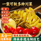 川珍 五寶泡菜500g 泡椒泡豇豆泡姜組合辣三寶炒菜輔料四川泡菜醬腌菜
