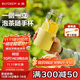 北鼎（Buydeem）茶水分離玻璃水杯高顏值車(chē)載便攜隨手杯辦公室泡茶杯鵝仔黃470ml