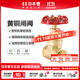 日豐管ppr水管配件閥門(mén)DN25DN20 DN15冷熱水入戶(hù)止水閥日豐黃銅閘閥 101黃銅閘閥DN20（6分）