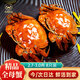 【活蟹】陽(yáng)澄逍遙大閘蟹鮮活螃蟹全母2.7-3.0兩8只現貨中秋送禮盒生海鮮湖河蟹次日達