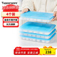 特百惠（Tupperware）冷凍1.3L*4餃子盒保鮮盒食品級冰箱儲物收納盒肉類(lèi)速凍密封不串味