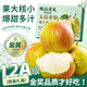 愛(ài)鮮摘農場(chǎng)正宗山西玉露香梨新鮮梨子水果順豐禮盒當季整箱香酥梨雪梨 9A 巨無(wú)霸 |單果250-300g【超甜】 5斤裝【爆款主推-80%選擇】巨劃算