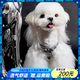 puppytie牽引繩狗胸背帶栓狗繩中小型幼犬博美雪納瑞鐳射蝴蝶結寵物遛狗繩 液態(tài)銀-胸背（不含牽引繩） XS碼-建議4-10斤