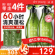 滋源無(wú)患子控油洗發(fā)水535ml*2去屑止癢蓬松洗發(fā)露無(wú)硅油家庭套裝