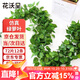 花沃里仿真藤條綠蘿葉假花藤蔓綠植年會(huì )婚慶節日裝飾花藤吊頂綠葉假樹(shù)葉
