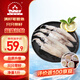仁豪水產(chǎn) 冷凍全籽筆管魚(yú)凈重500g 只只帶籽海鮮水產(chǎn) 源頭直發(fā)
