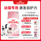 皇家幼貓奶糕 幼貓貓糧 BK34 通用糧 1-4月 2KG