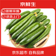 京鮮生 山東荷蘭水果黃瓜 凈重3斤 單果70g+ 小青瓜 健康輕食 源頭直發(fā)