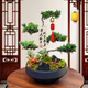 臨雅[兩小時達(dá)]中秋節(jié)送禮五層塔松盆栽青松綠植松樹喬遷開業(yè)盆景植物 學(xué)術(shù)長青【精致造景五層塔松盆景】 送導(dǎo)師推薦