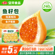 安井 魚(yú)籽包 240g 1包 魚(yú)糜含量45%  鎖鮮裝火鍋麻辣燙關(guān)東煮丸料