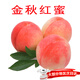 京府香園金秋紅蜜桃水蜜桃子脆桃水果當季陽(yáng)山蜜桃水果禮盒水果京東次日達 精選5斤裝