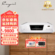 凱音（Cayin）CDT-17AMK2凱音斯巴克高保真電子管CD轉盤(pán)播放器專(zhuān)業(yè)家用音箱HIFI播放機CDT-17AMK2(鉆石版)