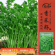 壽禾香菜種子苗大葉秋冬季陽(yáng)臺盆栽種植 處處留香香菜種子25g約2200粒