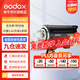 神牛（Godox） DP600/800IIIW三代閃光燈大功率室內攝影燈影棚拍攝人像靜物電商補光燈套裝 DP600三代 官方標配