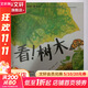 看!樹(shù)木 6-12歲中小學(xué)生一二三四年級趣味兒童科普 暑期寒假課外閱讀推薦 學(xué)科啟蒙寫(xiě)作素材