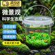 生態(tài)瓶初中生物DIY手提塑料微景觀(guān)科學(xué)生態(tài)瓶免打理桌面創(chuàng  )意魚(yú)缸 科學(xué)生態(tài)瓶+材料包+水草籽1包 （產(chǎn)品不包含活魚(yú)蝦螺水草）