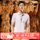 雅戈爾（YOUNGOR）短袖POLO衫男翻領(lǐng)扁機領(lǐng)設計呼吸棉吸濕透氣領(lǐng)子保型性佳新品 GSPC533011OFAQ粉紅 L