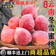 云南冬桃脆甜雪桃麗江冬桃子蜜桃新鮮現摘整箱水果大果秋蜜桃 4.斤【帶箱特大果】