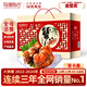 【活蟹】陽(yáng)澄聯(lián)合鮮活大閘蟹現貨全母蟹3.0-3.3兩8只螃蟹去繩足重海鮮中秋禮盒源頭直發(fā)