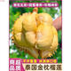 A+級精品 10斤泰國金枕榴蓮順豐新鮮水果當季帶殼整果貓山9 A+級順豐稀缺果王(包4房)9-10斤,百里挑一