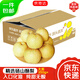 京地達碭山酥梨凈重9斤大果約350g 新鮮現摘 雪梨貢梨子 源頭直發(fā) 包郵