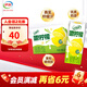伊利優(yōu)酸乳嚼檸檬輕乳果汁飲品10盒 牛奶飲品椰果果粒 220g*10盒/箱