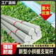 小拱棚支架拱桿花藝塑料實(shí)心骨架大棚溫室菜棚玻璃纖維彈力棒弓子 10根 10毫米粗 3.5米長(cháng)實(shí)心桿