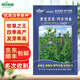 斡爾園林進(jìn)口紫花苜蓿種子多年生苜蓿草種籽四季常青牧草雞鴨鵝牛羊魚(yú)草籽