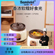 BAMBETEL班貝特德國品牌全自動(dòng)紫砂電燉鍋煲湯鍋煮粥神器插電養生鍋電燉盅 【預約定時(shí)款】2-4人 21cm 2.8L