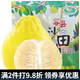 迭果容縣沙田柚廣西特產(chǎn)沙田柚子產(chǎn)地直發(fā)純甜無(wú)酸白心肉新鮮水果 容縣沙田柚 4斤大果2個(gè)普通裝