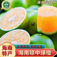 南步海南綠橙甜橙 綠皮冰糖橙瓊中現摘手剝橙青福橙子新鮮水果禮盒裝 9斤 精選大果【約2-4個(gè)/斤】黃皮
