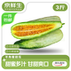京鮮生 云南羊角蜜甜瓜 凈重3斤起 單果300g+ 源頭直發(fā)包郵