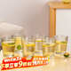 青蘋(píng)果無(wú)鉛玻璃水杯 豎紋漱口杯茶杯牛奶杯啤酒杯6只裝 飲料杯