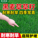 斡爾牧場(chǎng)草坪種子黑麥草種子草籽護坡庭院綠化草種源頭直發(fā)包郵