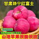 順豐甘肅天水靜寧蘋(píng)果9斤現摘脆甜紅富士不打蠟新鮮水果冰糖心L5 12枚精品大果禮盒【順豐快遞/送禮有面】