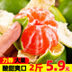 果果牛湖北蜜橘 桔子酸甜當季新鮮高山水果多汁整箱 可選 2斤裝(50-60mm)凈果約1.7斤