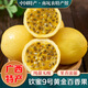 桃西村海南欽蜜9號黃金百香果 當季熱帶雞蛋果白香果醬原漿純甜新鮮水果 2斤 精選中果【單果60-70g】
