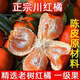 川紅橘萬(wàn)州古樹(shù)紅桔子新鮮9斤老品種陳皮柑橘原料鮮果大紅袍橘子W 3斤 實(shí)惠裝