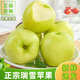 陜西渭南特產(chǎn)白水瑞雪蘋(píng)果精品香紅陽(yáng)脆甜新鮮水果產(chǎn)地直發(fā) 瑞雪4.5-5斤中果12枚(75#左右)