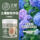 芷郁硫酸亞鐵伴侶檸檬酸肥料檸檬酸花卉專(zhuān)用酸性植物通用型土壤調酸劑