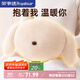 榮事達（Royalstar）熱水袋注水暖手寶充電女生暖寶寶暖水袋暖手袋暖腳大姨媽卡其狗狗