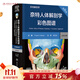 奈特人體解剖學(xué)彩色圖譜：系統解剖學(xué)，第8版 2024年1月參考