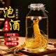 喜碧（Scybe）泡酒容器 密封罐10斤裝泡酒專用瓶泡菜壇子泡酒瓶腌菜瓶潘多拉5L