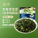 京鮮生 浦之靈農家青雪菜500g/袋 雪里蕻 無(wú)亞硝酸鹽咸菜 冷凍蔬菜