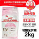 皇品皇家貓糧K36幼貓糧4-12月/懷孕母貓2kg波斯英短通用型寵物幼貓糧 原裝整包2KG